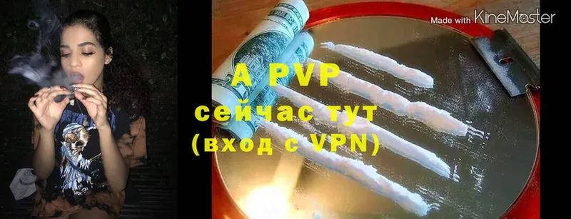 A PVP мука  где можно купить   это официальный сайт  Шацк 